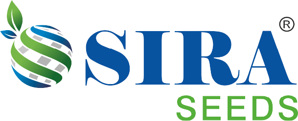 Siraseeds