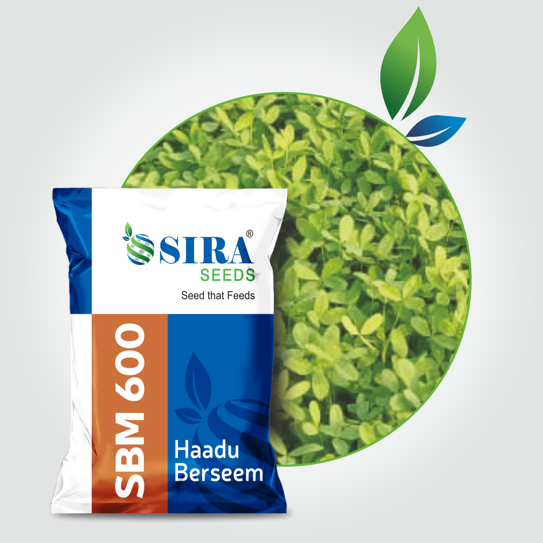Siraseeds