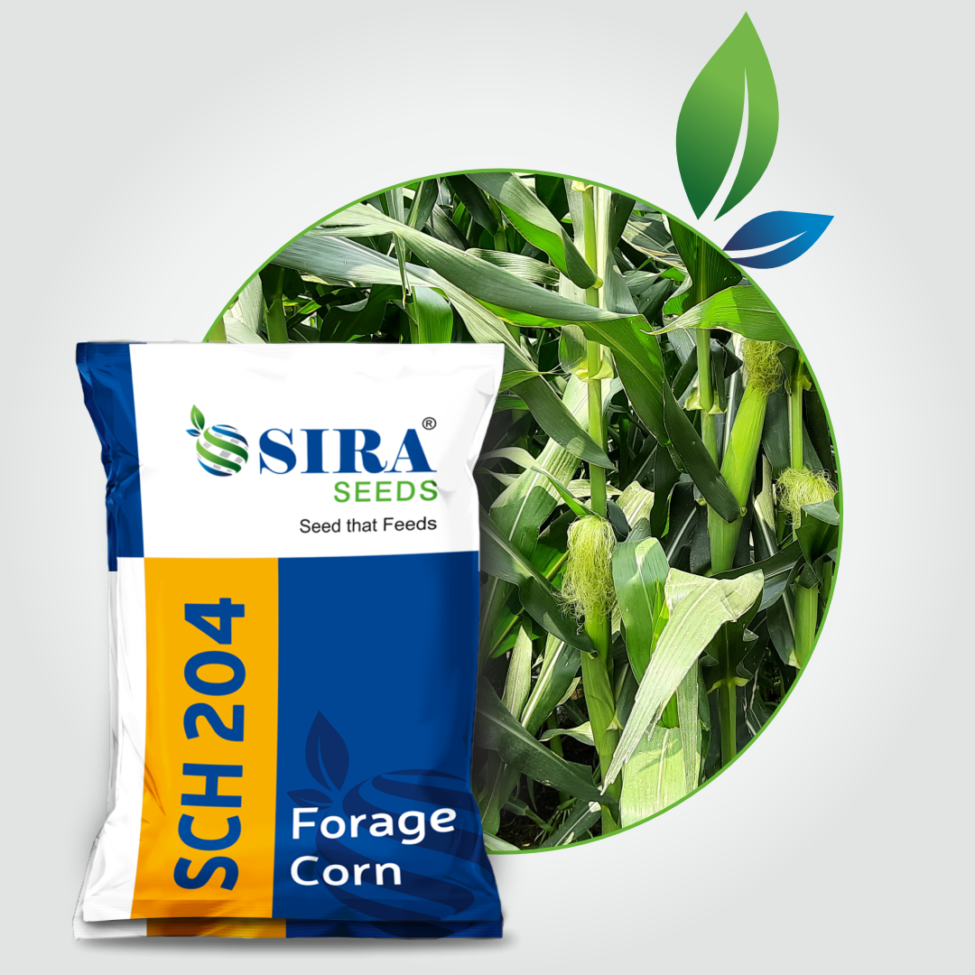 Siraseeds
