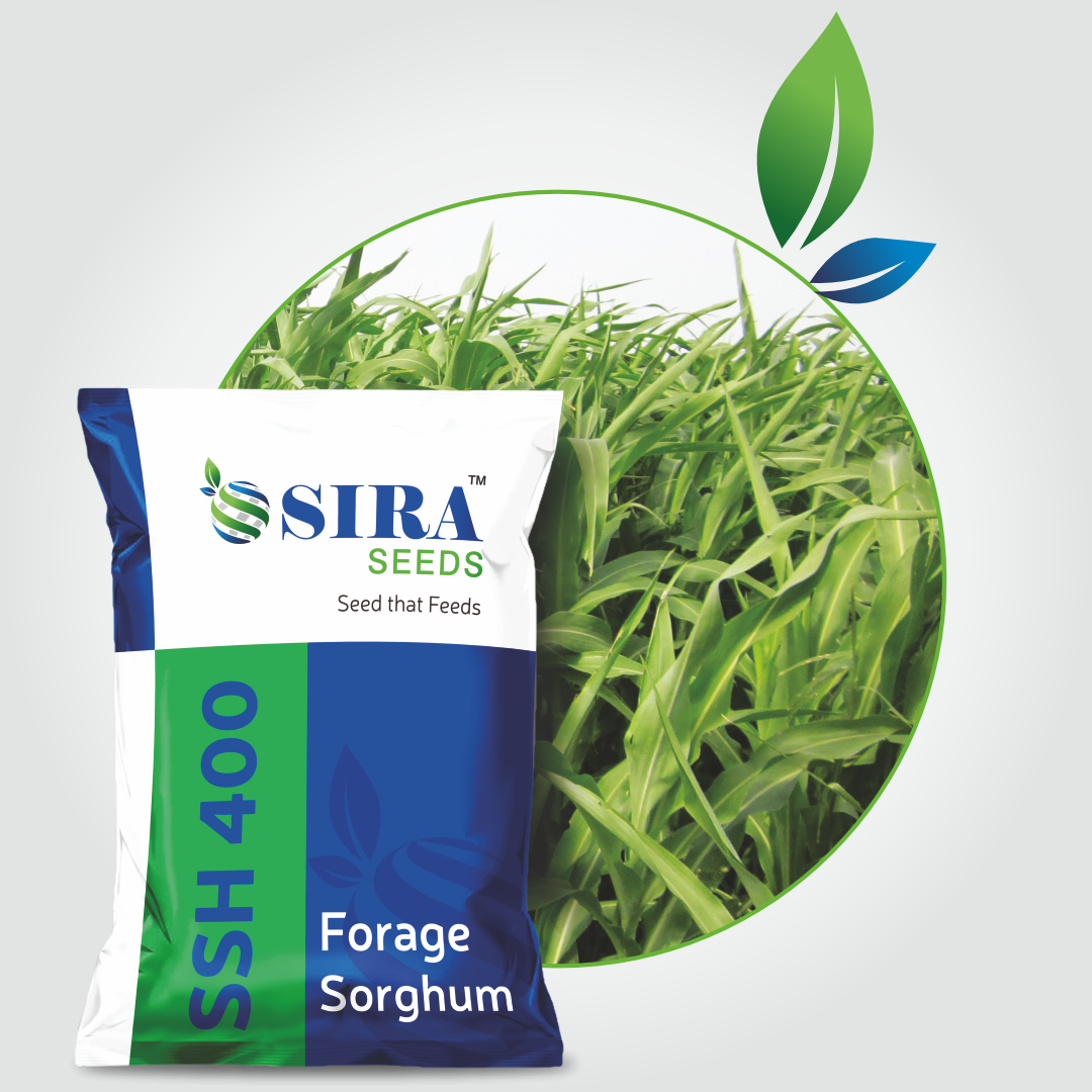 Siraseeds